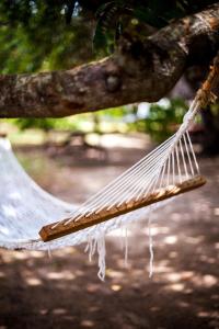 a hammock hanging from a tree in a park at Capricorn Beach Cottages in Pangani
