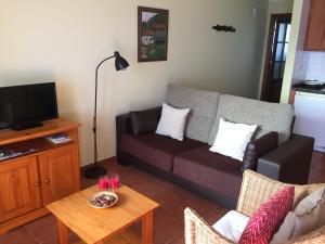 a living room with a couch and a tv at APARTAMENTOS RURALES AZABACHE in Villaviciosa