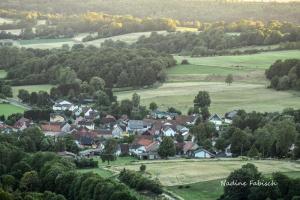 een dorp in de heuvels met huizen en bomen bij Ferienwohnung auf dem Pferdehof in Schotten