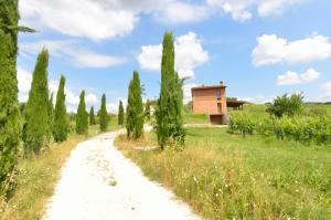 Vonkajšia záhrada v ubytovaní Il Sogno Tra I Vigneti