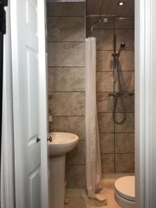 a bathroom with a shower and a toilet and a sink at Cassandra Guest House in Plymouth