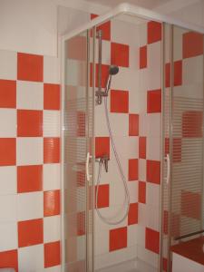a shower in a bathroom with red and white tiles at Gîte du Tarbésou in Régat