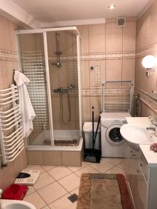 a bathroom with a shower and a washing machine at Krościenko nad Dunajcem Jagielońska 179/1 in Krościenko