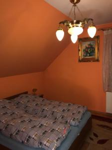 a bedroom with a bed and a chandelier at Krościenko nad Dunajcem Jagielońska 179/1 in Krościenko
