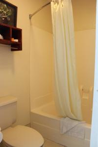 a bathroom with a white shower curtain and a toilet at Sanger Inn in Sanger