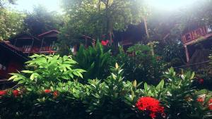 Ein Garten an der Unterkunft Phi Phi Green Hill Resort