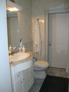 ThibervilleAU CHARME DES POMMIERS的带水槽和马桶的浴室