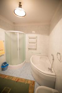 a bathroom with a tub and a shower and a sink at U Schabińskiej - Pałac w Siarach in Gorlice