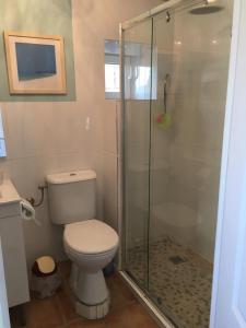 uma casa de banho com um WC e uma cabina de duche em vidro. em Papillon em Esves-le-Moutier