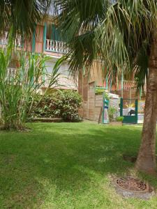 een palmboom in een tuin met een gebouw bij Anse Caritan Mahogany in Caritan