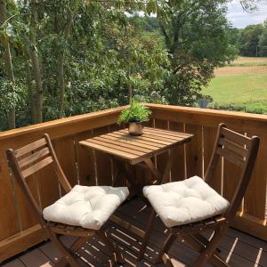 uma mesa de madeira e duas cadeiras num deque em Meine Ferienwohnung Pleissenhaus em Altemburgo