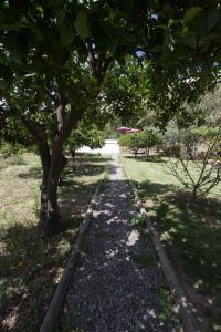 Villa Huerta Vicenteにある庭