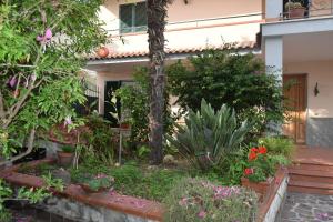 エルコラーノにあるCasa Fioritaの花植物の家の前庭