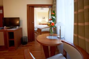TV a/nebo společenská místnost v ubytování Hotel Penzion Na Hradě