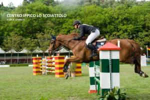 a person riding a horse jumping over an obstacle at Visaya in Ponsacco