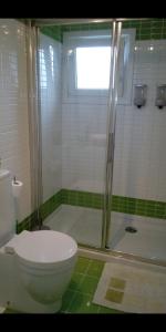 uma casa de banho com um chuveiro e um WC. em Vivienda de uso turistico NEL em La Pesa