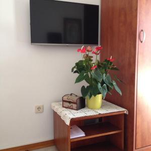 Gallery image of Apartment Stinjan, Istria 4 in Štinjan
