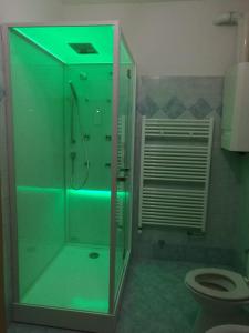 ein Bad mit einer Dusche und einem WC mit grüner Beleuchtung in der Unterkunft Rue de Vachery 46 in Etroubles + 48 Fotos