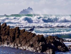 Paesaggio naturale nelle vicinanze dell'appartamento