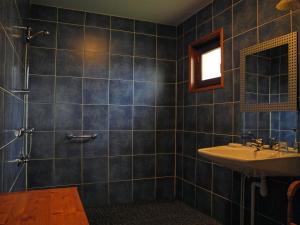 a bathroom with a sink and a shower at Le Plateau de la Danse in Saint-Victor-sur-Loire