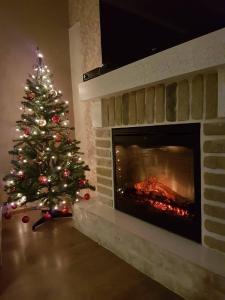 a christmas tree in a living room with a fireplace at Helen Apartment in Riga