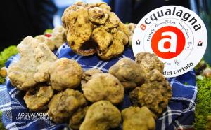 a pile of cauliflower on a blue cloth with a sign at Cà Maggio Nuovo in Acqualagna