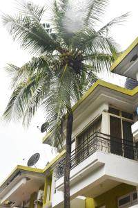 a palm tree in front of a building at BEAUTIFUL SPACIOUS STUDIO APT IN CANDOLIM with Wifi in Candolim