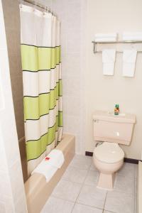 a bathroom with a toilet and a green and white shower curtain at Red Carpet Inn and Suites Plymouth in Plymouth