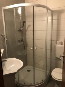 a bathroom with a shower and a toilet and a sink at Casa Mario in Baile Felix