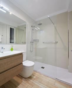 a bathroom with a shower and a toilet and a sink at Soroa Apartment in San Sebastián