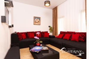 sala de estar con sofá negro y almohadas rojas en Pensiunea Ecaterina, en Berzasca