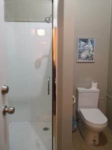 a bathroom with a toilet and a glass shower at Golden Cross Hotel in Waihi