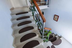 Fotografie z fotogalerie ubytování Apartments Helena v destinaci Zadar