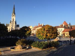 Fotografia z galérie ubytovania Hotel Irottkö v destinácii Kőszeg