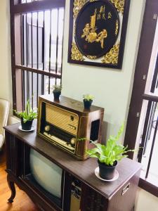 an old radio sitting on a table with potted plants at Phuket Sunny Hostel in Phuket Town
