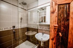 Vannituba majutusasutuses Srpsko Andrejevo Selo