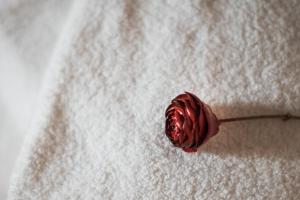 Zdjęcie z galerii obiektu Dimora delle Muse w mieście Montalcino