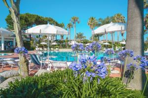 uma piscina de resort com cadeiras e flores roxas em Hotel Residence Costa Azzurra em Capo Vaticano