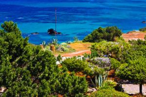 Φωτογραφία από το άλμπουμ του Arenal d´Or σε Παραλία Es Figueral