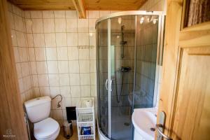 a bathroom with a shower and a toilet and a sink at Cichy Zakątek in Cisna