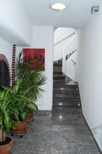 una escalera con macetas en un edificio en Hotel Albergo Mamma Rosa en Wunsiedel