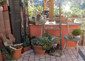 a garden with potted plants and a ladder and a chair at Ferienwohnung Im Paradies in Momlingen