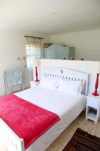 a bedroom with a large white bed with a red blanket at The Crowded House in Pringle Bay