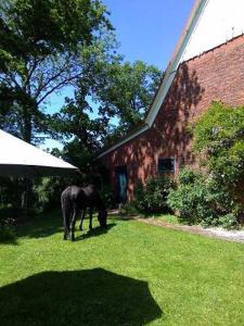 Zvířata v farmy nebo okolí