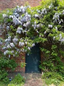 Zahrada ubytování Ferienwohnung unterm Reetdach