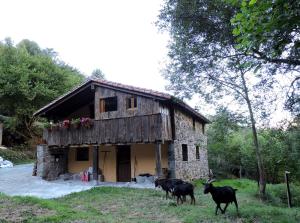 San Roque de RíomieraにあるLa Hirririá.の山羊三頭の家