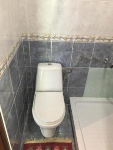 een badkamer met een wit toilet en een bad bij Guculka in Jaremtsje