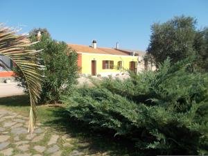 a bunch of christmas trees in front of a house at Agriturismo Ezzi Mannu in Stintino
