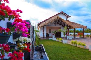 Zahrada ubytování Avonil Resort Yala