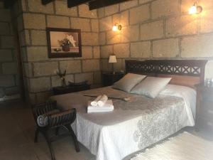 a bedroom with a bed and a chair at Finca el Cortijo in San Miguel de Abona